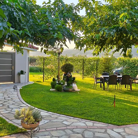 The Olive Oasis * Ormília