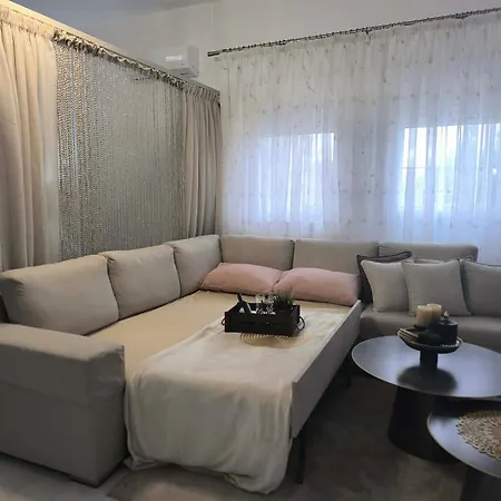 The Olive Oasis *