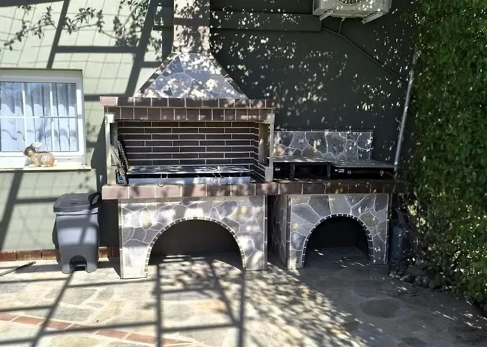 The Olive Oasis *