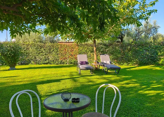 The Olive Oasis
