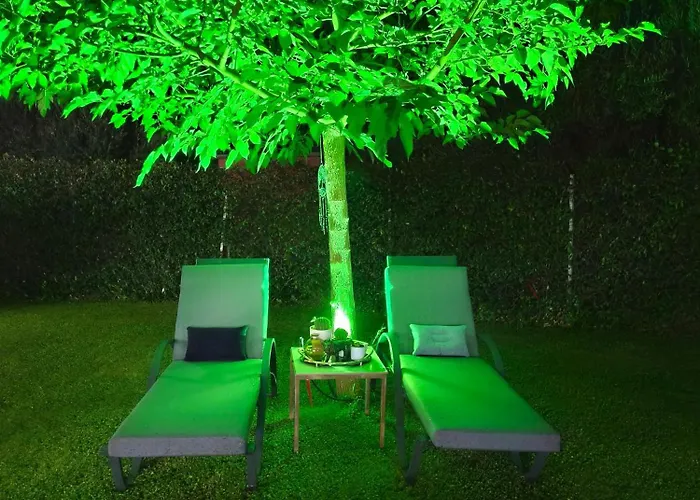 The Olive Oasis *