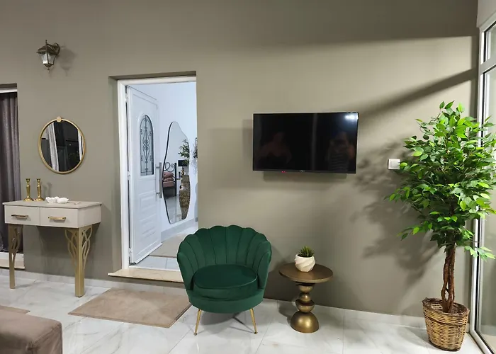 The Olive Oasis