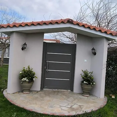 The Olive Oasis * Ormilia