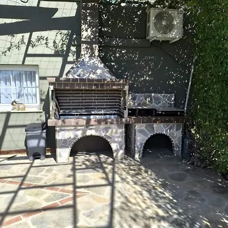 The Olive Oasis *