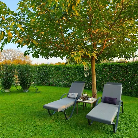 Villa The Olive Oasis