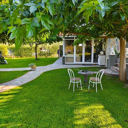 Villa The Olive Oasis *