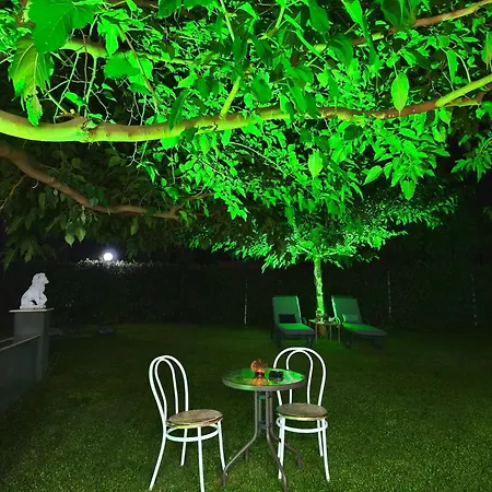 The Olive Oasis Ormilia