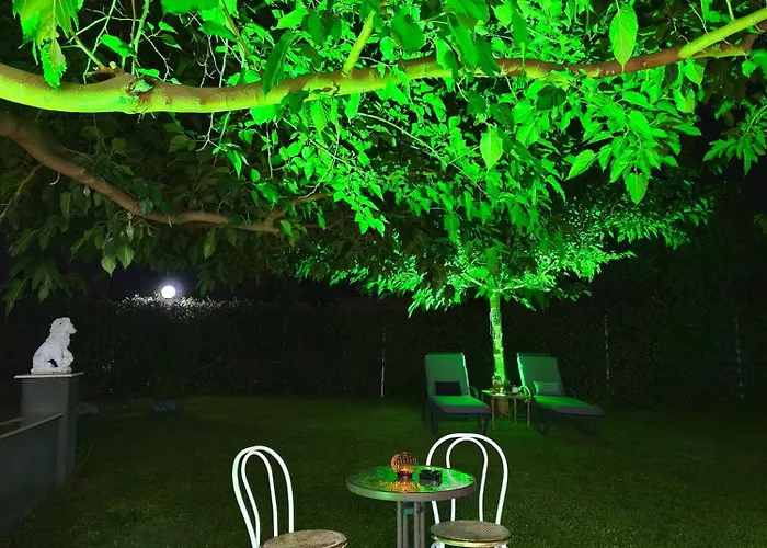 The Olive Oasis Ormília