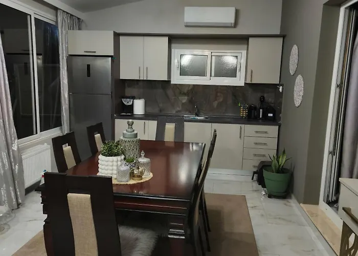 The Olive Oasis *