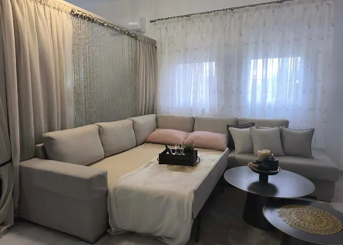 The Olive Oasis *